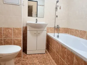 Pronájem bytu 1+1, Bílina, Aléská, 36 m2