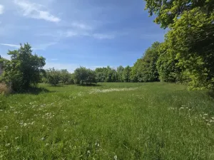 Prodej pozemku pro bydlení, Maršovice, Maršovice, 1203 m2