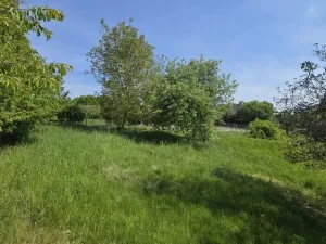 Prodej pozemku pro bydlení, Maršovice, Maršovice, 1203 m2