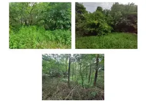 Dražba pozemku, Budišov nad Budišovkou, 1541 m2