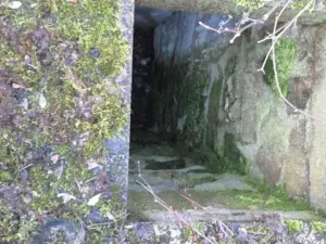 Dražba rodinného domu, Bílichov, 10 m2