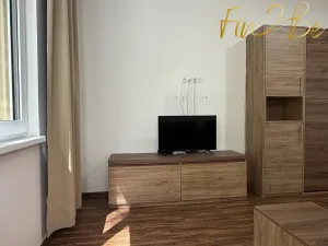 Pronájem bytu 1+kk, Ostrov - Horní Žďár, 28 m2