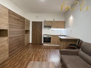 Pronájem bytu 1+kk, Ostrov - Horní Žďár, 28 m2