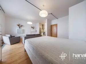 Pronájem bytu 1+kk, Olomouc, Mošnerova, 42 m2