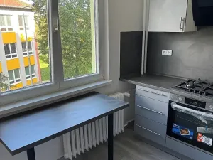 Pronájem bytu 2+1, Chodov, Revoluční, 60 m2