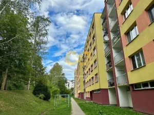 Pronájem bytu 2+1, Český Krumlov, Sídliště Plešivec, 58 m2