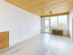 Prodej bytu 1+1, Chomutov, Rooseveltova, 40 m2