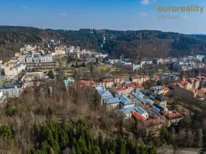 Prodej bytu 1+1, Mariánské Lázně, Mladějovského, 41 m2
