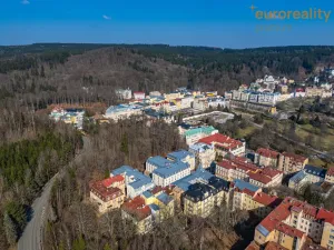 Prodej bytu 1+1, Mariánské Lázně, Mladějovského, 41 m2