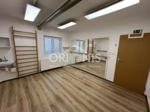 Pronájem ordinace, Chomutov, Na Příkopech, 16 m2
