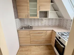 Prodej činžovního domu, Litvínov - Horní Litvínov, Podkrušnohorská, 170 m2