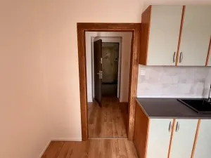 Prodej bytu 1+1, Lom - Loučná, Novostavby, 28 m2