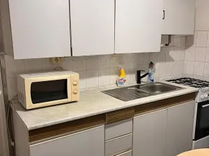 Prodej bytu 2+1, Bílina - Teplické Předměstí, M. Švabinského, 53 m2