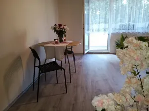 Pronájem bytu 2+kk, Brno, Oderská, 67 m2