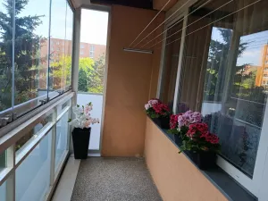 Pronájem bytu 2+kk, Brno, Oderská, 67 m2
