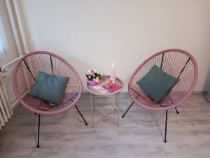Pronájem bytu 2+kk, Brno, Oderská, 67 m2
