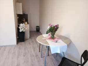 Pronájem bytu 2+kk, Brno, Oderská, 67 m2