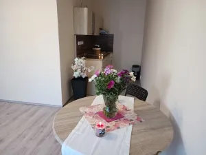 Pronájem bytu 2+kk, Brno, Oderská, 67 m2