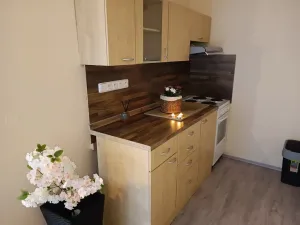 Pronájem bytu 2+kk, Brno, Oderská, 67 m2
