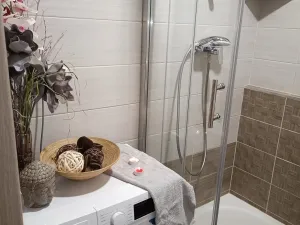 Pronájem bytu 2+kk, Brno, Oderská, 67 m2