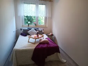 Pronájem bytu 2+kk, Brno, Oderská, 67 m2