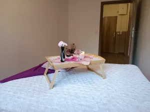 Pronájem bytu 2+kk, Brno, Oderská, 67 m2