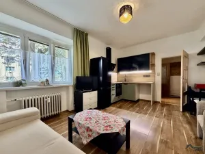 Prodej bytu 1+kk, Vratimov, U Jeslí, 24 m2