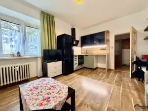 Prodej bytu 1+kk, Vratimov, U Jeslí, 24 m2