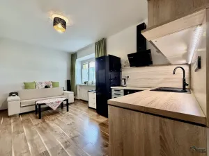Prodej bytu 1+kk, Vratimov, U Jeslí, 24 m2