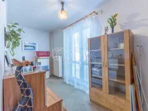 Prodej bytu 3+1, Opava - Předměstí, Olomoucká, 63 m2