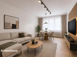 Prodej bytu 3+1, Opava - Předměstí, Olomoucká, 63 m2