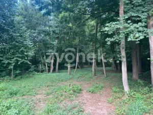 Prodej lesa, Halenkovice, 1620 m2