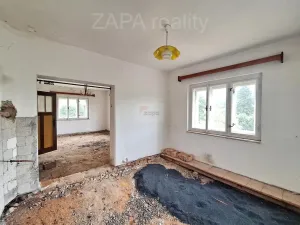 Prodej vícegeneračního domu, Zlatá Olešnice, 400 m2