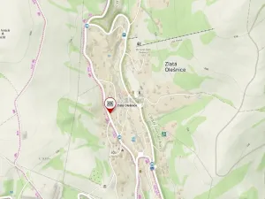 Prodej vícegeneračního domu, Zlatá Olešnice, 400 m2
