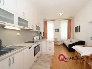 Pronájem bytu 2+kk, Praha - Žižkov, Žižkovo náměstí, 58 m2