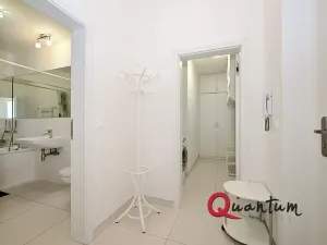 Pronájem bytu 2+kk, Praha - Žižkov, Žižkovo náměstí, 58 m2