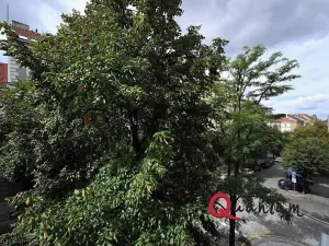 Pronájem bytu 2+kk, Praha - Žižkov, Žižkovo náměstí, 58 m2