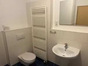 Pronájem bytu 3+kk, Písek, V Portyči, 86 m2