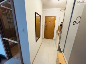 Pronájem bytu 2+kk, Most, K. J. Erbena, 43 m2