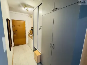 Pronájem bytu 2+kk, Most, K. J. Erbena, 43 m2