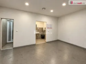 Pronájem skladu, Břeclav, Na Hrůdách, 800 m2
