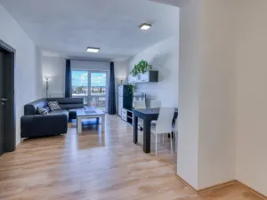 Pronájem bytu 2+kk, Plzeň, U Borských kasáren, 52 m2