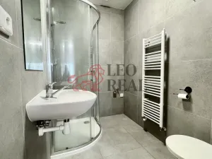 Pronájem bytu 1+1, Uherské Hradiště, Kollárova, 31 m2