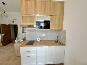 Pronájem bytu 1+kk, Praha - Nové Město, Kateřinská, 35 m2
