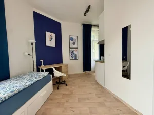 Pronájem bytu 1+kk, Praha - Nové Město, Ječná, 35 m2