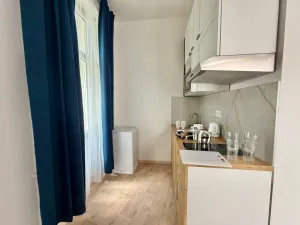 Pronájem bytu 1+kk, Praha - Nové Město, Ječná, 35 m2