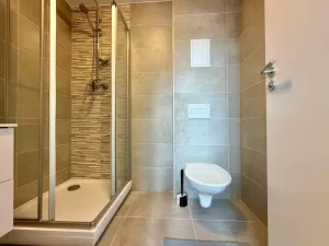 Pronájem bytu 1+kk, Praha - Nové Město, Ječná, 35 m2