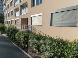 Pronájem bytu 2+1, Praha - Strašnice, Přetlucká, 49 m2