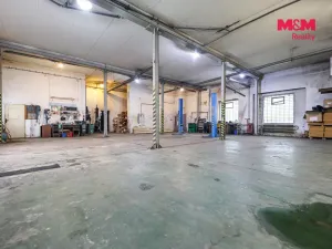 Prodej obchodního prostoru, Černošín, 1100 m2