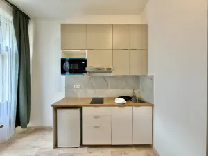 Pronájem bytu 1+kk, Praha - Nové Město, Ječná, 30 m2